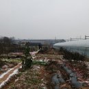 흙사랑3농장 이미지