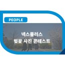 넥스플러스(주) 이미지