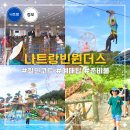 카플레이스 - 안양시 동안구 경수대로 603 | 나트랑 빈원더스 입장권 가격 비교, 케이블카 종일권 할인받은 후기
