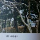 세종출판사