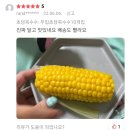 맹동우체국 | [양산통통과일]맹동수박 맛있을때 많이드세요🍉