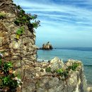 들꽃이 있는 바다 이미지