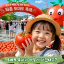 퇴촌토마토축제 프로그램 살펴보다가 가보고 싶어진 이유🍅