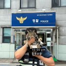 서신파출소 이미지