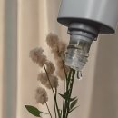 메이더왁싱(May The Waxing) | 탄탄한 기본기 위에 새로움을 더한 왁싱데이 만의 향기로운 브라질리언 왁싱🫶🏻
