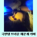 국민 육아템 브라운체온계 씨어커버 내돈내산 후기