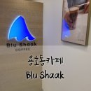 블루샥용호