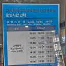 강진읍시장 | 강해영 프로젝트 강진여행 - 한국민화뮤지엄, 오감통시장