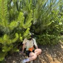 샵스테이 이미지