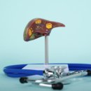 고리메디칼 이미지