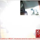 눈부심 - 강동구 | 눈부심