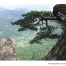 죽산리(오정골) 입구 | 영동 마니산摩尼山(640m)을 찾아서