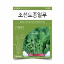 씨앗 - 남양주시 덕소로116번길 11 | 씨앗
