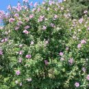 만방1리경로당 이미지