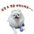 아산시청소년교육문화센터 본관 | 구미대학교 RISE 로컬크리에이터 지원사업 구미여성인력개발센터 양성 교육 발대식