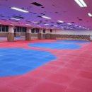 우석대 태권도교육관 이미지