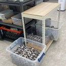 대구곤충마트 이미지