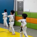 밝은i태권도장 이미지