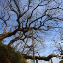 창원중앙역관광안내소 이미지