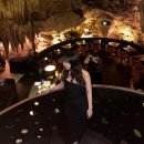 더��(THE) | 발리 동굴레스토랑 더케이브 The Cave 파인다이닝 후기