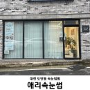 애리속눈썹