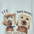 브레드댕댕 이미지