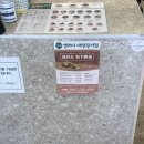로스트관저점 이미지