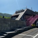 미앤마이독스 이미지