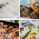 대관령호텔사우나 이미지