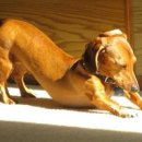 쉬운 요가 이미지