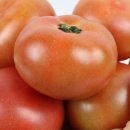 금순 농장 이미지