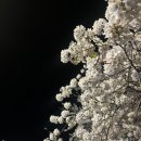 24.6-8 (밀려쓰기)