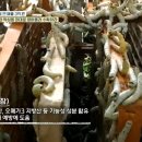 최영숙농장 이미지