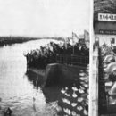 서해5농장 이미지