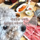 고향식육식당 | 애견동반가능한 울산동구 소고기맛집 한우식육식당 [고향의봄]