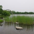 풍산노래광장 네이버블로그