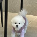 제니&헤르안