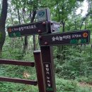 창원 용지봉-대암산 이정목 18곳 이미지