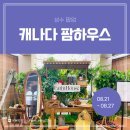[팝업 후기] 캐나다대사관 &lt;체리&amp;블루베리 팜하우스&gt; 성수 팝업스토어