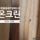 바퀴벌레 새끼 없애는법 퇴치법 인천 전문방역 소독업체 후기