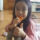요보록소보록 네이버블로그