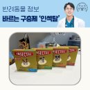 호랑이 동물병원 | 바르는 구충제 '인섹탈 콤보' 출시 (인천 송도 호랑이동물병원)