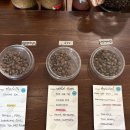 나래약국 | 치앙마이 DAY1~2 : 치앙마이 네모런 뛰고 기관지염이 왔다.