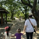 2025 서울국제정원박람회 보라매공원 지니호야네 주말 나들이 후기(입장시간, 입장료, 주차요금, 명당...