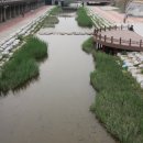 도림천 산책로4 이미지