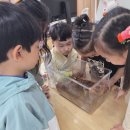 농소유치원 이미지