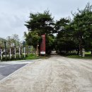 향나무쉼터 | 여주 남한강 출렁다리와 신륵사 산책코스 추천 후기