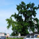 오수보건지소 이미지