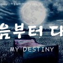 처음부터 다시 My destiny 가사 영상 Lyrics video 이미지