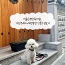 마을 보호수 | 서울은평한옥마을 가는법 위치 애견동반 단풍구경후기